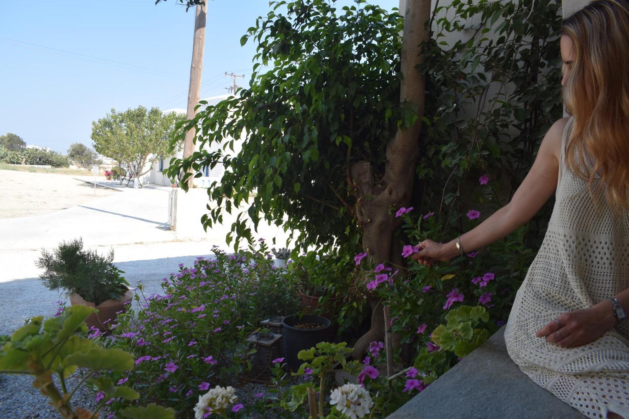 Agia Anna  Birbas Hotel חדר תמונה